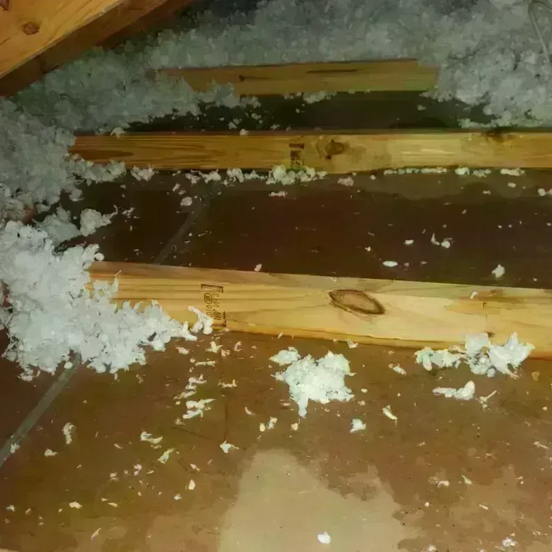 Attic Water Damage in West Union, OH