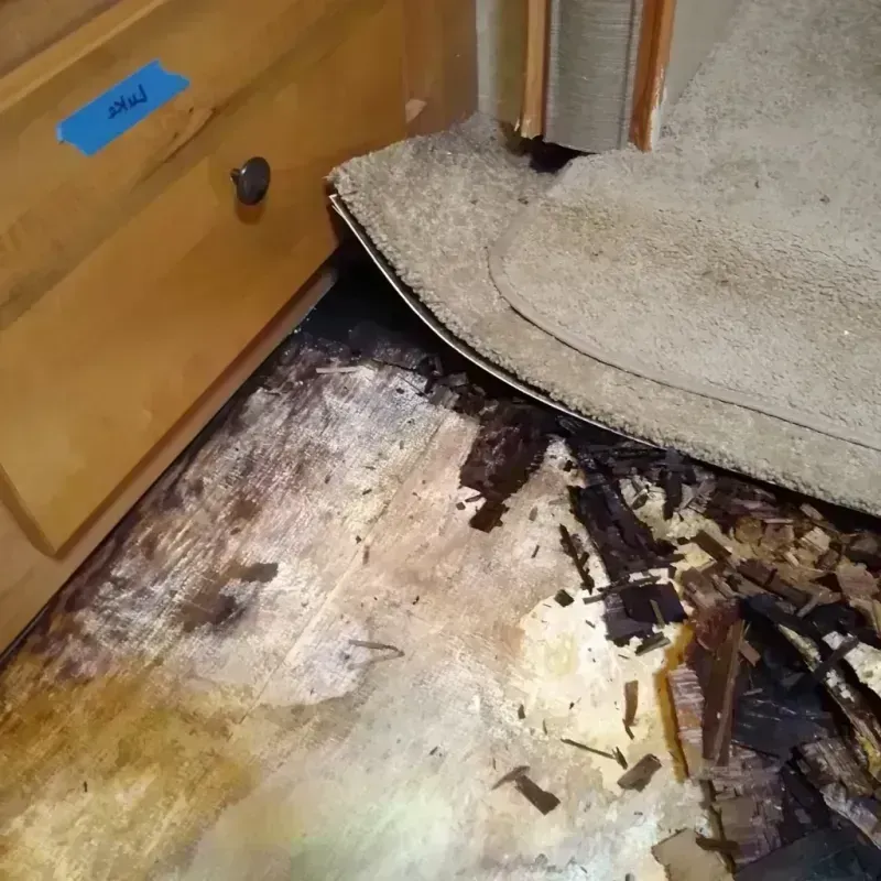 Best Wood Floor Water Damage Service in West Union, OH